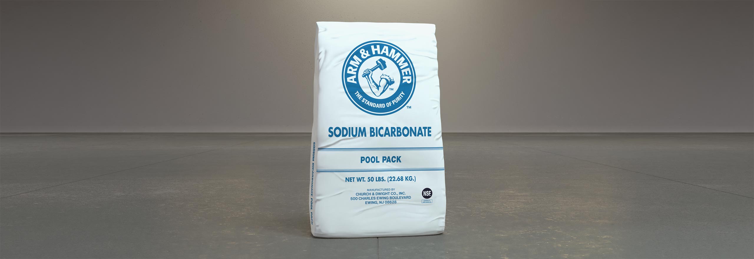 Pool pack professional grade alkalinity adjustment in pools arm