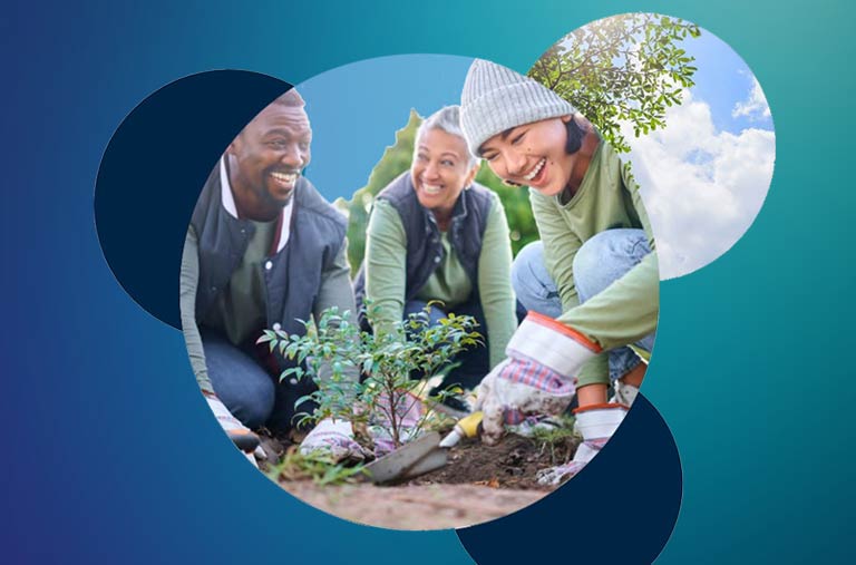 Graphic showing people planting a tree.