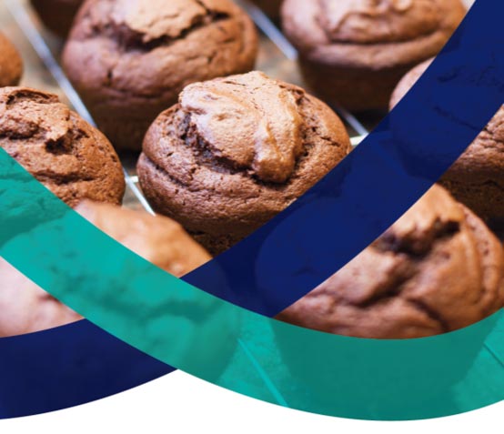 OPUS™ SALP Replacers branded image with muffins in background